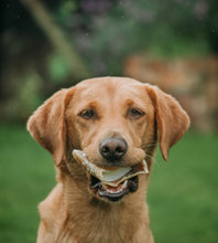 Load image into Gallery viewer, Anco Naturals Sheepfat Filled Hoof