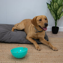 Load image into Gallery viewer, ÖRVA ENRICHMENT WOBBLE BOWL