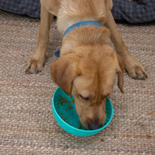 Load image into Gallery viewer, ÖRVA ENRICHMENT WOBBLE BOWL