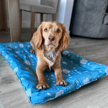 Load image into Gallery viewer, ICE PAWS COOLING BED