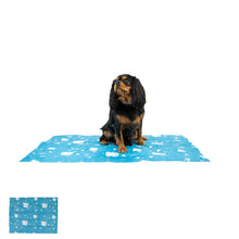 Load image into Gallery viewer, ICE PAWS COOLING MAT