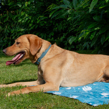 Load image into Gallery viewer, ICE PAWS COOLING MAT