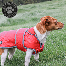 Load image into Gallery viewer, STORMGUARD DOG COAT RED