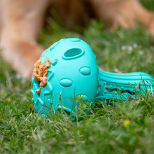 Load image into Gallery viewer, ÖRVA MUSHROOM TREAT TOY
