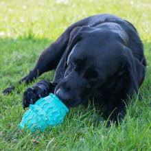 Load image into Gallery viewer, ÖRVA TREAT BARREL