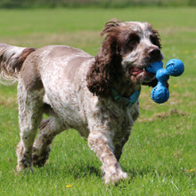 Load image into Gallery viewer, ÖRVA TREAT TRIANGLE