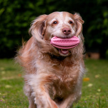 Load image into Gallery viewer, ÖRVA RUGBY TREAT BALL