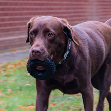 Load image into Gallery viewer, ÖRVA TREAT TYRE