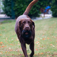 Load image into Gallery viewer, ÖRVA TREAT TYRE