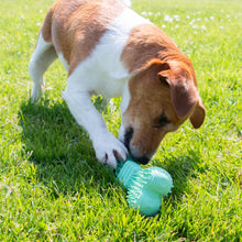 Load image into Gallery viewer, ÖRVA TREATY BONE