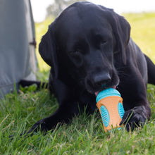 Load image into Gallery viewer, ÖRVA SENSORY ROLL TREAT TOY