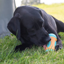 Load image into Gallery viewer, ÖRVA SENSORY ROLL TREAT TOY