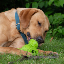 Load image into Gallery viewer, ÖRVA TREATY TRIANGLE