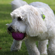 Load image into Gallery viewer, ÖRVA TREAT BALL