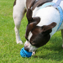 Load image into Gallery viewer, ÖRVA TREAT BALL