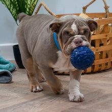 Load image into Gallery viewer, ÖRVA BRAIN BALL