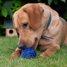 Load image into Gallery viewer, ÖRVA BRAIN BALL