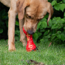 Load image into Gallery viewer, ÖRVA BRAIN TREAT DUMBBELL