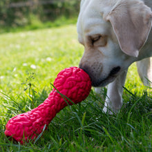 Load image into Gallery viewer, ÖRVA BRAIN TREAT DUMBBELL