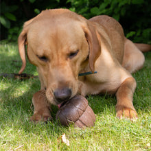 Load image into Gallery viewer, ÖRVA ACORN