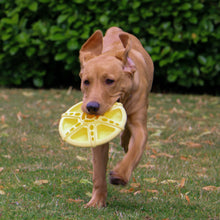 Load image into Gallery viewer, ÖRVA FLYING DISC