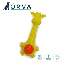 Load image into Gallery viewer, ÖRVA SQUEAKY BELLIES