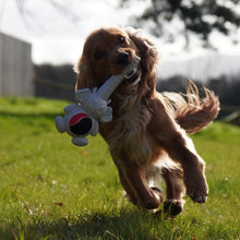 Load image into Gallery viewer, ÖRVA SQUEAKY BELLIES