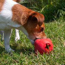 Load image into Gallery viewer, ÖRVA TREAT SHUTTLE