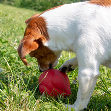 Load image into Gallery viewer, ÖRVA TREAT SHUTTLE