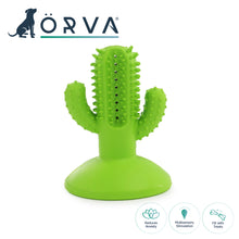 Load image into Gallery viewer, ÖRVA CACTUS TOOTHBRUSH