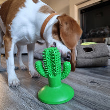 Load image into Gallery viewer, ÖRVA CACTUS TOOTHBRUSH