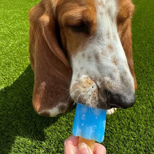 Load image into Gallery viewer, SMALL BITE ICE TEETHERS