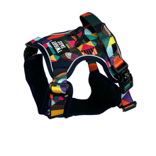 Load image into Gallery viewer, TWIGGY TAGS ADVENTURE HARNESS - DISCONTINUED LINES - REDUCED TO CLEAR