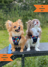 Load image into Gallery viewer, TWIGGY TAGS ADVENTURE HARNESS - DISCONTINUED LINES - REDUCED TO CLEAR