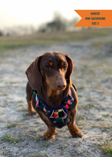 Load image into Gallery viewer, TWIGGY TAGS ADVENTURE HARNESS - DISCONTINUED LINES - REDUCED TO CLEAR