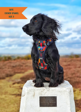 Load image into Gallery viewer, TWIGGY TAGS ADVENTURE HARNESS - DISCONTINUED LINES - REDUCED TO CLEAR