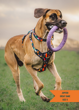 Load image into Gallery viewer, TWIGGY TAGS ADVENTURE HARNESS - DISCONTINUED LINES - REDUCED TO CLEAR