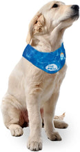 Load image into Gallery viewer, All For Paws Chill Out Ice Bandana
