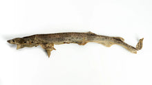 Load image into Gallery viewer, Whole Dried Catshark - 1pc
