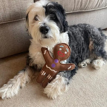 Load image into Gallery viewer, Green & Wilds Jean Genie the Gingerbread Person, Eco Toy