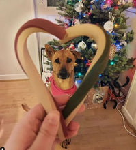 Load image into Gallery viewer, Mak's Patch Veggie Canes x 2 canes tied with natural string