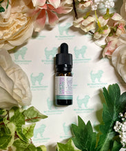 Load image into Gallery viewer, Cat Spot on 10ml