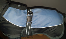 Load image into Gallery viewer, Henry Wag Waterproof Dog Coat