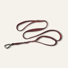 Load image into Gallery viewer, TWIGGY TAGS ADVENTURE LEAD - DISCONTINUED LINES - REDUCED TO CLEAR