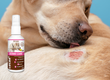 Load image into Gallery viewer, LUCAA+ Pet Probiotic Dermo (Wound) Care - 100ml Spray