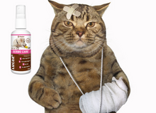 Load image into Gallery viewer, LUCAA+ Pet Probiotic Dermo (Wound) Care - 100ml Spray