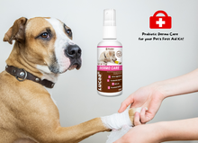 Load image into Gallery viewer, LUCAA+ Pet Probiotic Dermo (Wound) Care - 100ml Spray