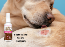 Load image into Gallery viewer, LUCAA+ Pet Probiotic Dermo (Wound) Care - 100ml Spray