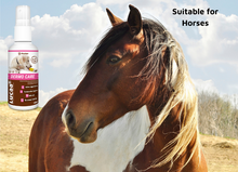 Load image into Gallery viewer, LUCAA+ Pet Probiotic Dermo (Wound) Care - 100ml Spray