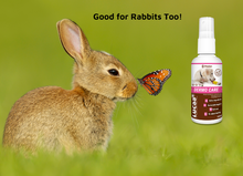 Load image into Gallery viewer, LUCAA+ Pet Probiotic Dermo (Wound) Care - 100ml Spray